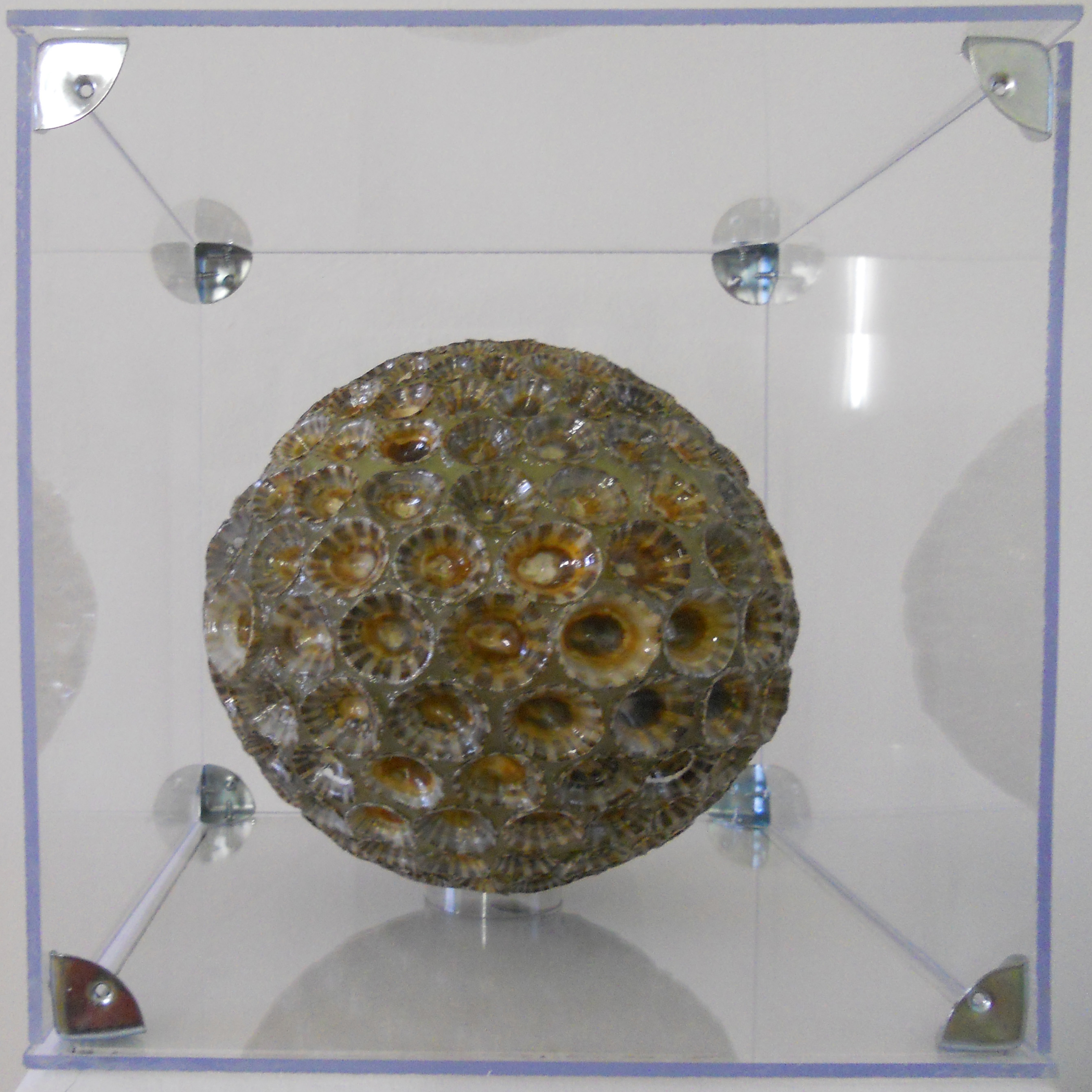 MW 08 (Hohe Aufl&ouml;sung)